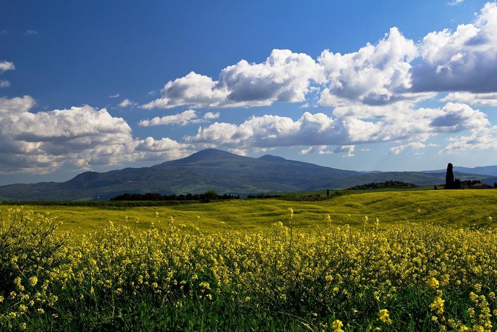 Casetta Del Pozzo Seggiano Quarto foto